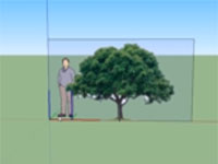 How to Draw Trees in Google SketchUp 