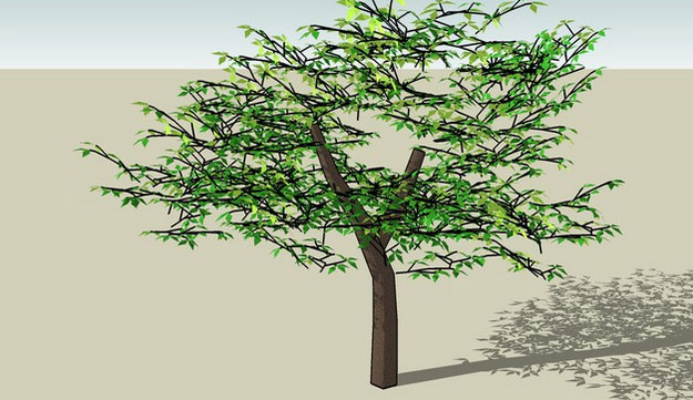 Sketchup model - Tree