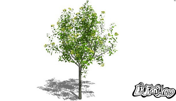 Sketchup model 3d tree : yellow and green tree