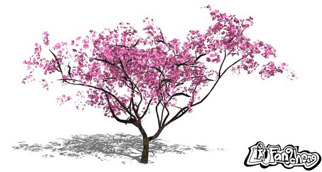Sketchup model : 3d tree - peach tree