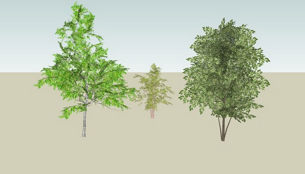 Sketchup model - 3D trees