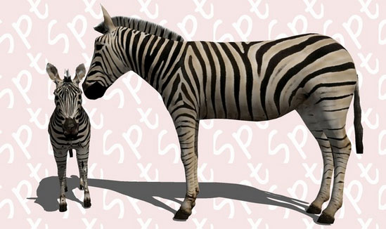 Sketchup model - Zebras 3d