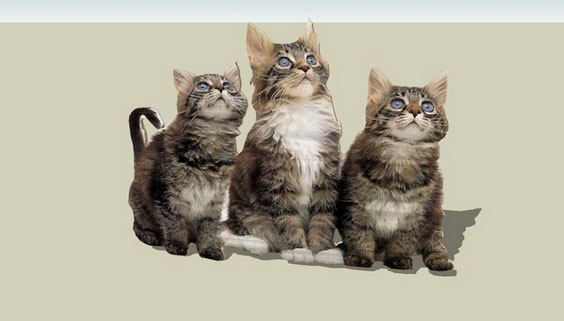 Sketchup model - Cats