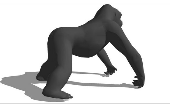Sketchup model - Gorilla