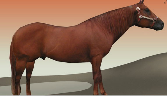 3d Horse