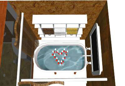 Bath Tub and Bathroom