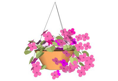 Hanging Basket Flower