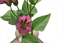 3d Flower model in SketchUp