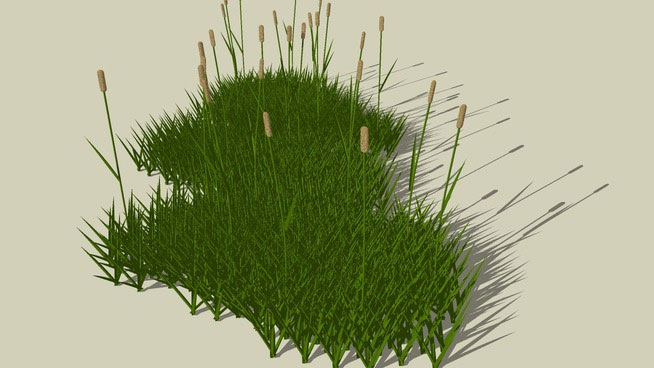 Sketchup model - Clump of grass