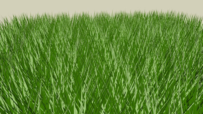 Sketchup model - 3d patch of grass