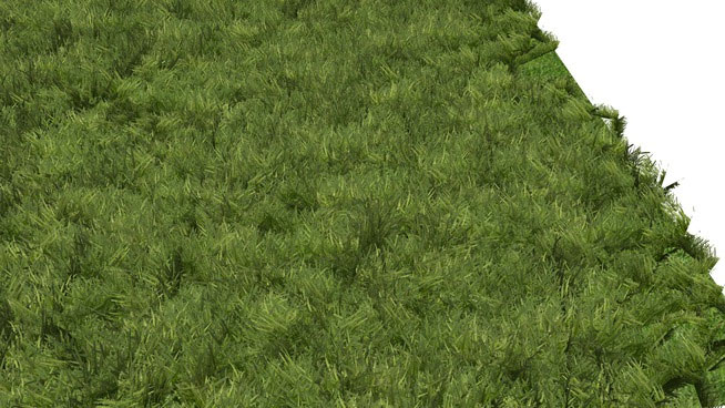 Sketchup model - Grass for everything