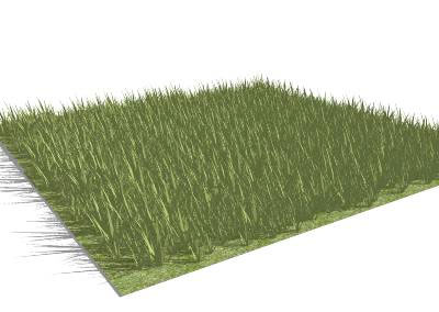 Sketchup model - High-Poly Grass