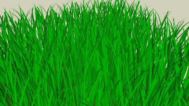 Sketchup model - 3d Grass