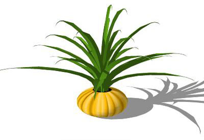 Brass Pot with Plant