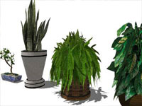 Indoor Plants in Sketchup