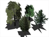 Plant Component Pack in Sketchup