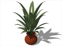 Potted Plant in SketchUp