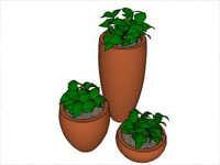 Three Vaso Plants in Sketchup