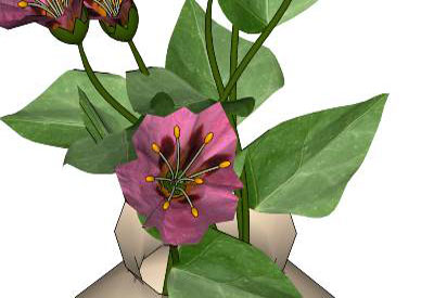 3d Flower model
