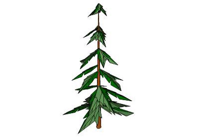 Dynamic Pine Tree