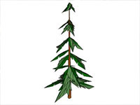 3D Pine Tree in Sketchup
