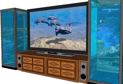TV and Aquarium